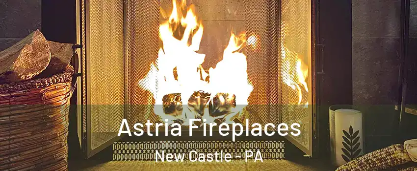  Astria Fireplaces New Castle - PA