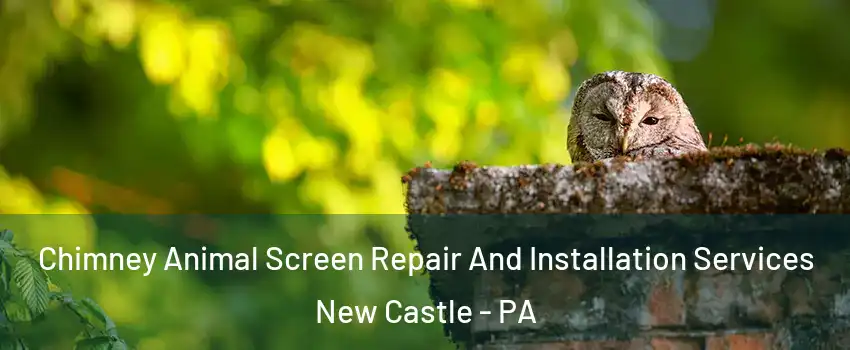  Chimney Animal Screen Repair And Installation Services New Castle - PA