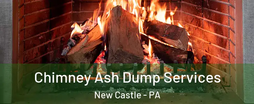  Chimney Ash Dump Services New Castle - PA