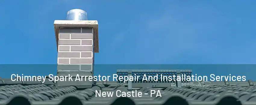  Chimney Spark Arrestor Repair And Installation Services New Castle - PA