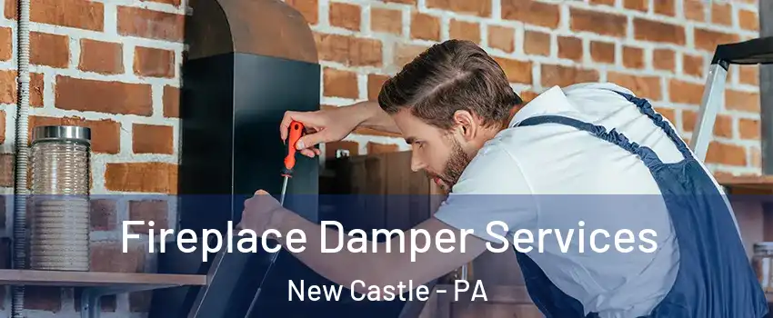  Fireplace Damper Services New Castle - PA