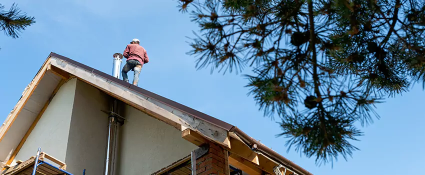 Birds Removal Contractors from Chimney in New Castle, PA