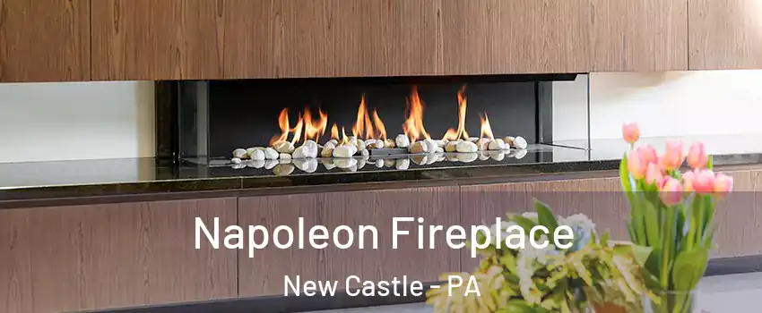  Napoleon Fireplace New Castle - PA
