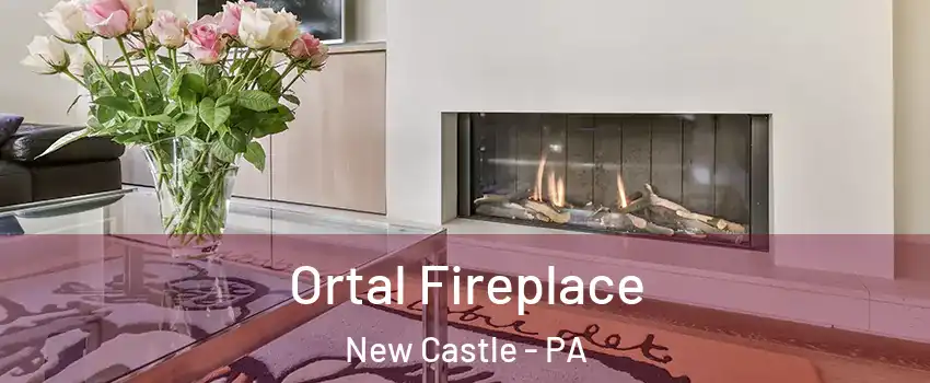 Ortal Fireplace New Castle - PA