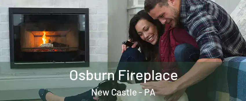  Osburn Fireplace New Castle - PA